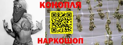 гашик Бузулук