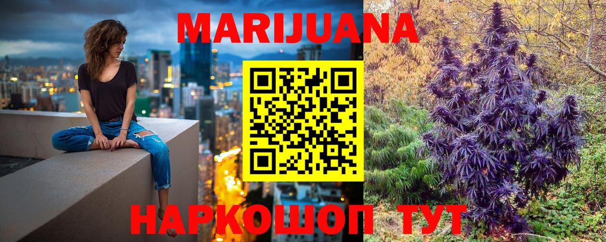 МАРИХУАНА ГИДРОПОН  Вход с VPN  Лесной  МАРИХУАНА план 